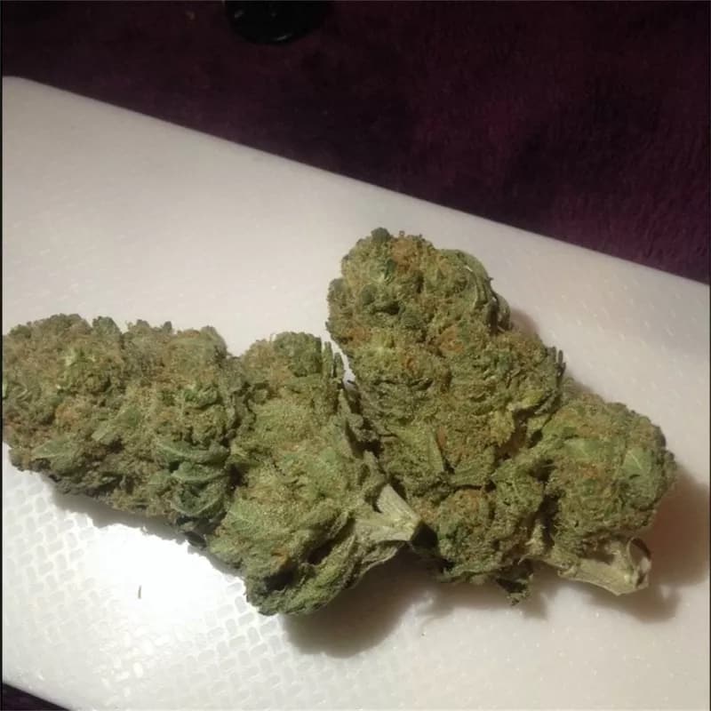 NYC Diesel